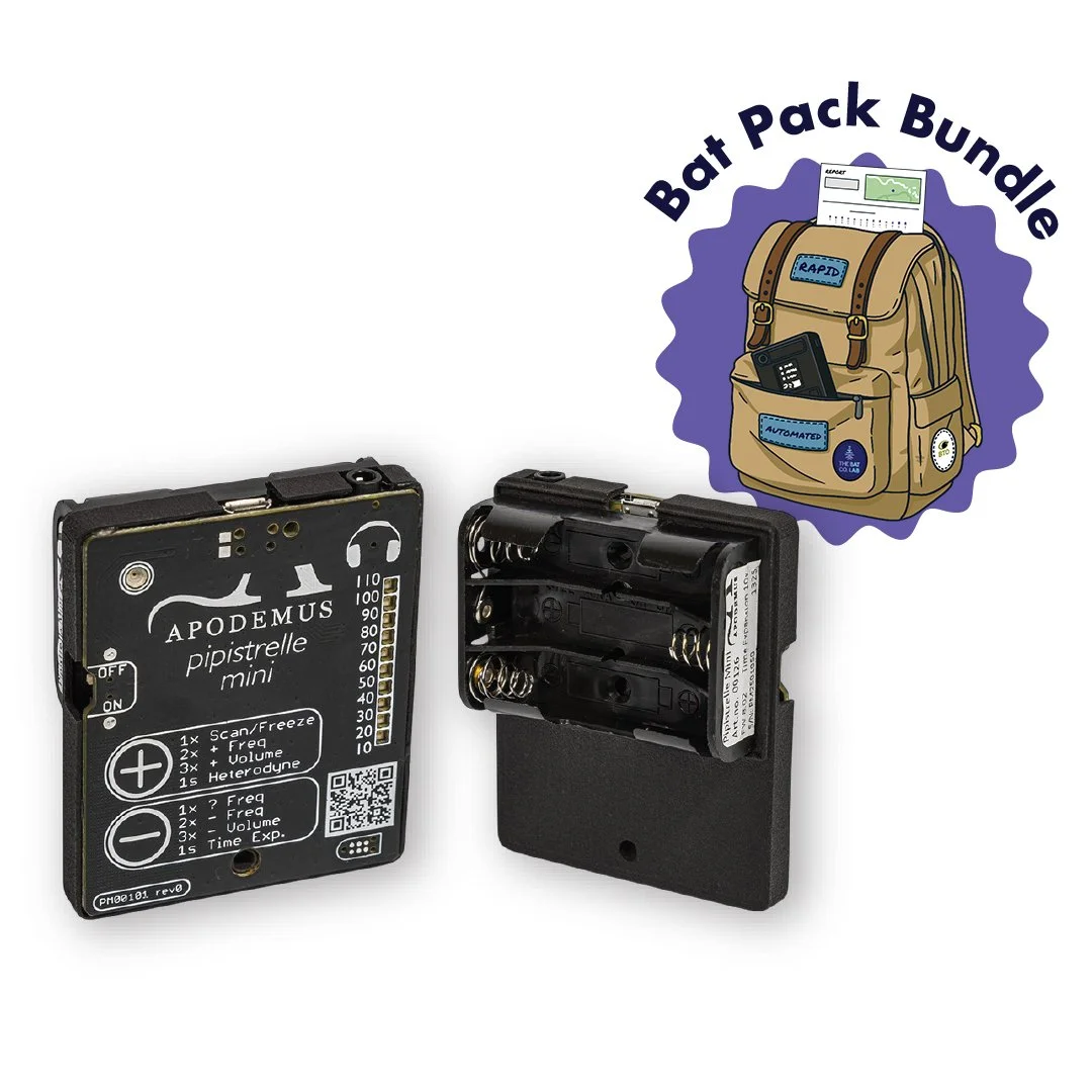 Apodemus Pipistrelle Mini Detector + FREE Bat Pack