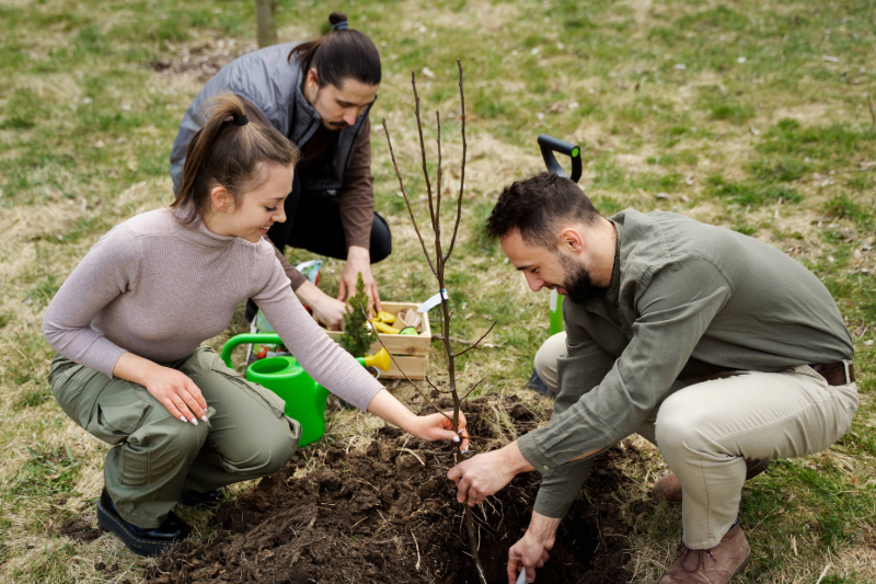 Climate and environment, Social and Behavioural Inclusive Leadership Insight for Workplaces