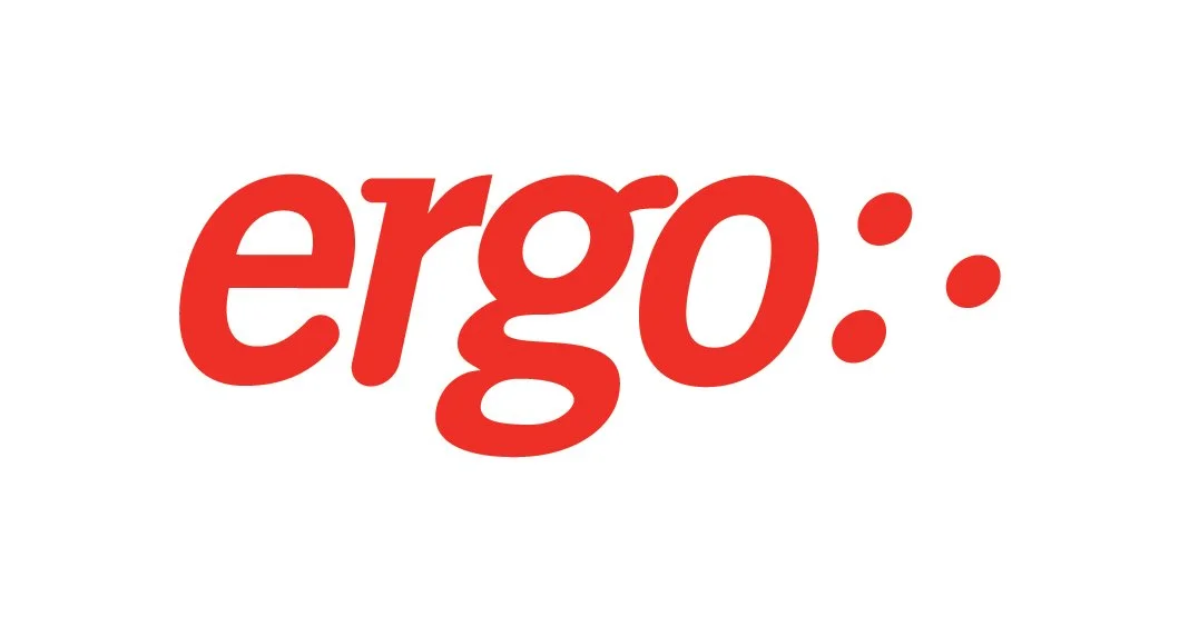 ERGO  working on effective leadership and inclusive solutions. 