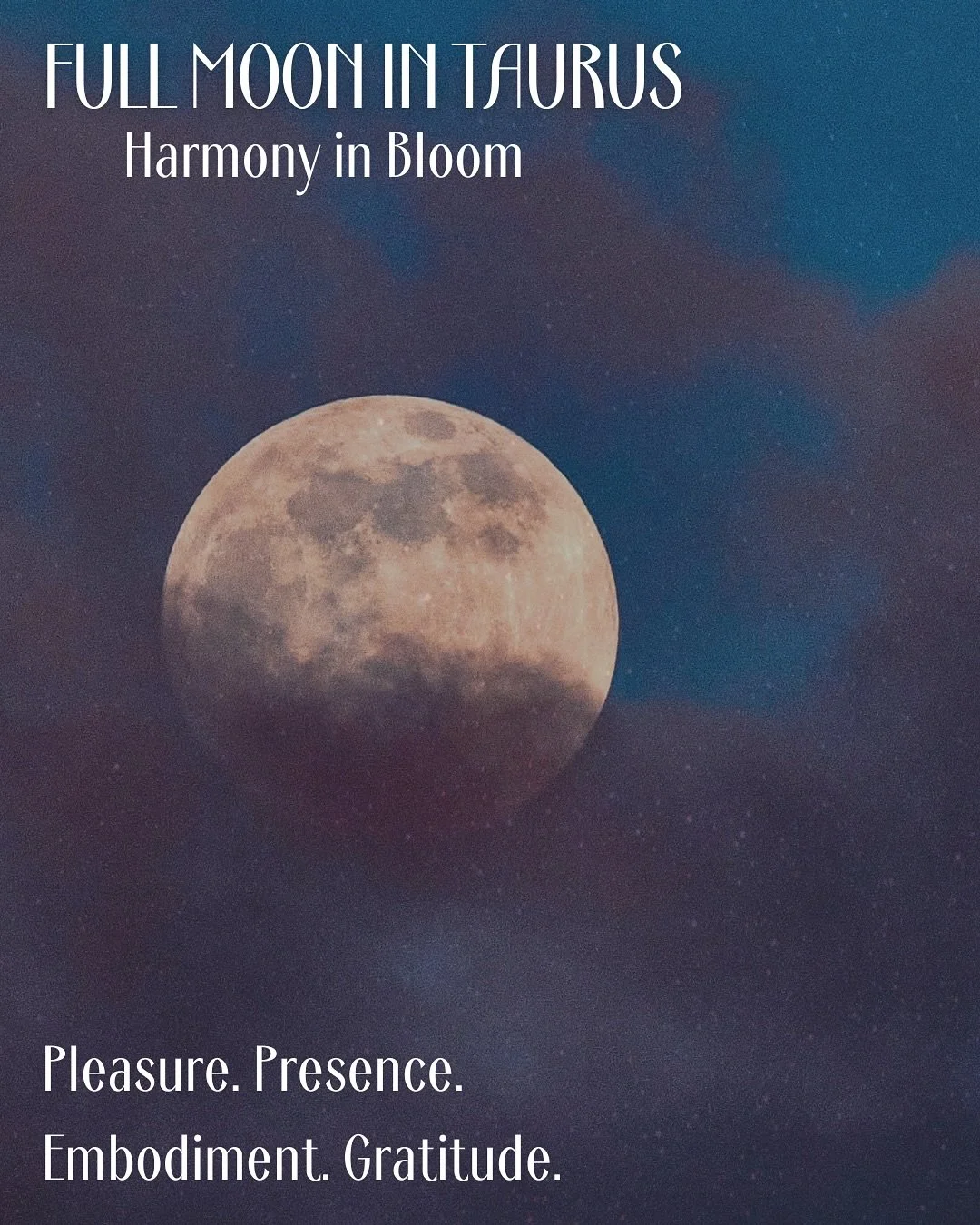 Full Moon in Taurus. Harmony in Bloom. 

This is a moon of embodiment. Of beauty experienced through the senses.

Let the light of this moon draw you into the body, into presence. Into gratitude for all that is unfolding. 

Journal prompt: what has c
