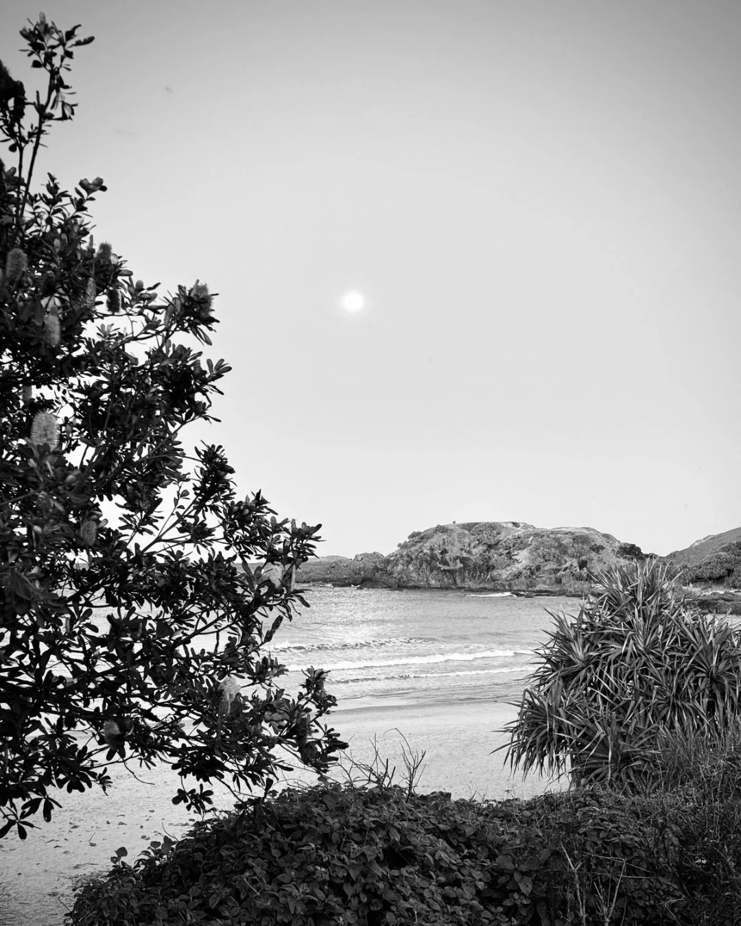 As I sat with the New Moon, these were the words that came through to speak aloud under the Full Moon:

&ldquo;I trust you body
as gatekeeper
wise sage
the holder of ancient lore
time immemorial in my cells
being of both earth and stars
I awaken to y