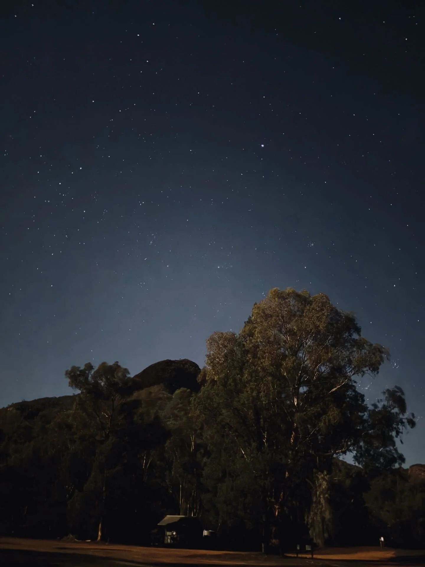 At the turning of the year ✨
A pause from the digital landscape, counting stars instead of likes.
A soft return.
Letting the body set the pace as a new cycle begins.
Listening for what comes next.