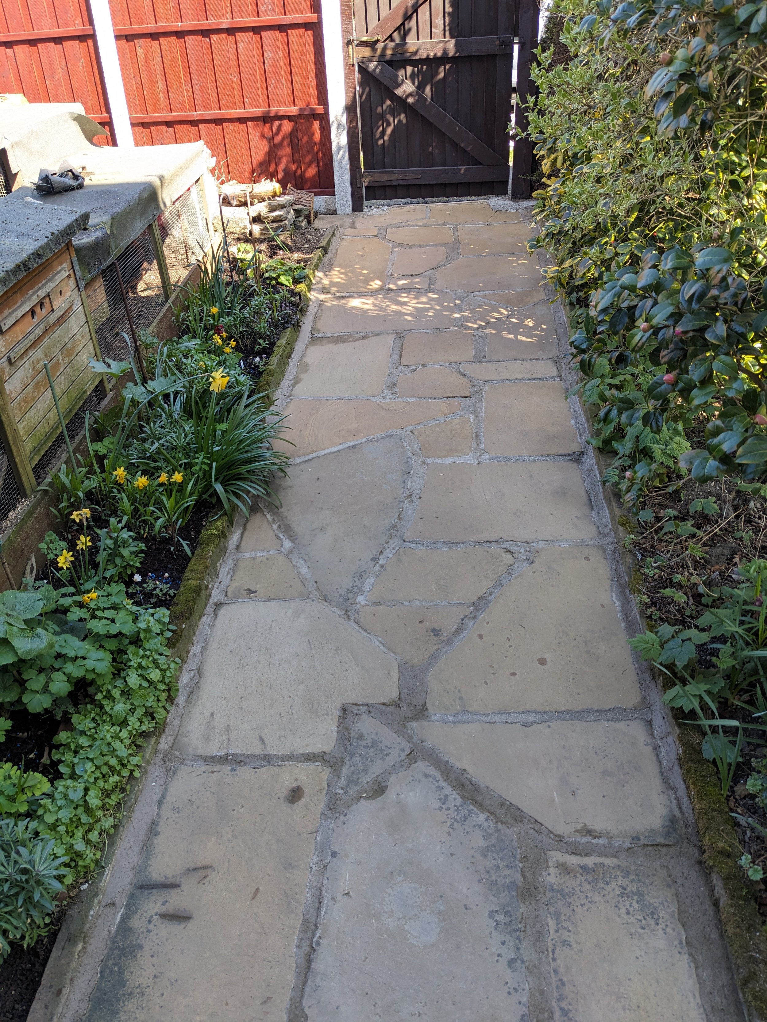 A new garden pathway made of irregularly shaped beige stones with mortar joints, bordered by flower beds with yellow and green plants on the left and dense bushes on the right, leading to a black wooden gate at the end.