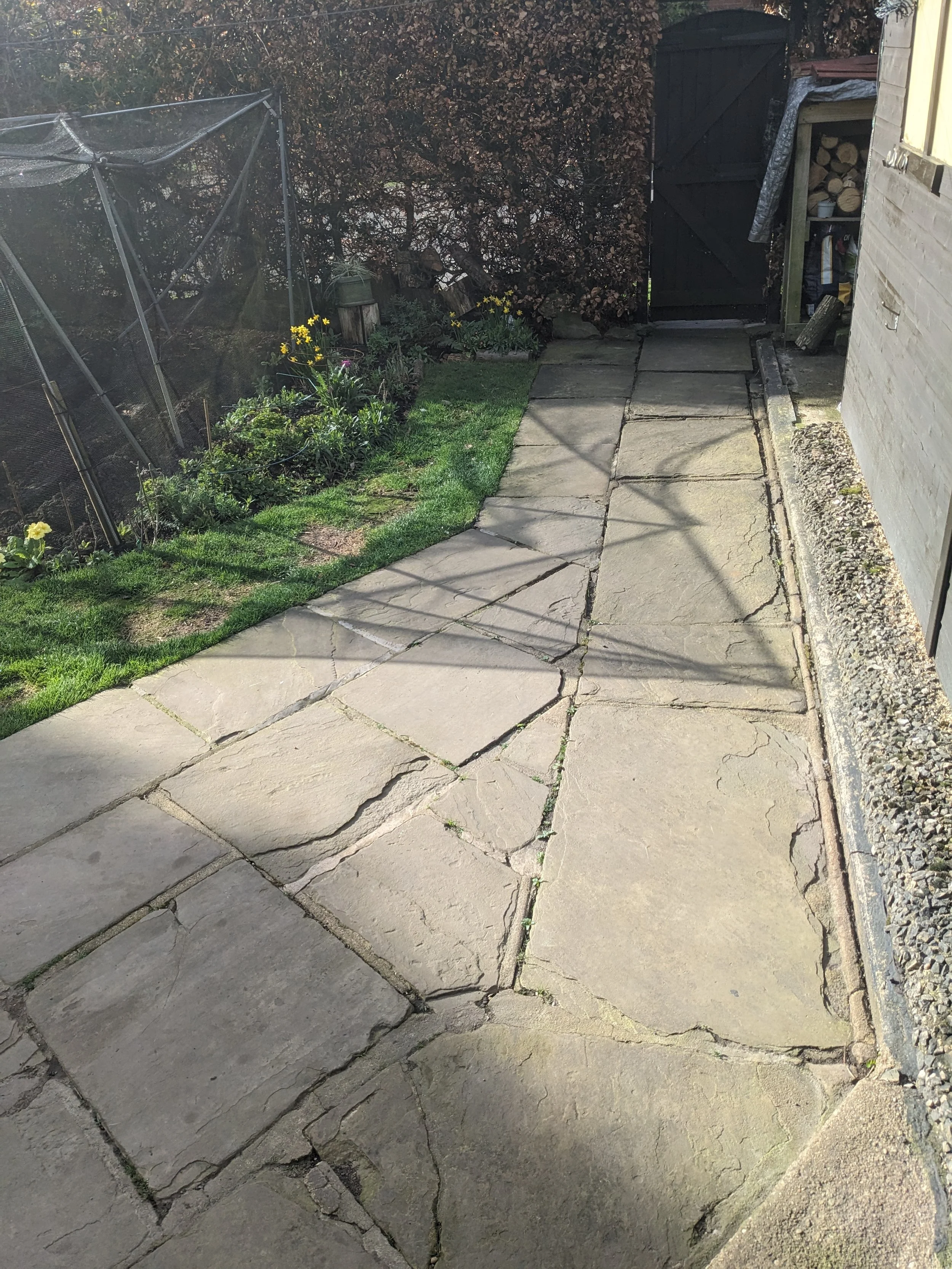 Cracked and uneven concrete patio with patches of grass and small plants along the edge, next to a garden with various flowers, a small wooden fence, and a shed with stacked logs.