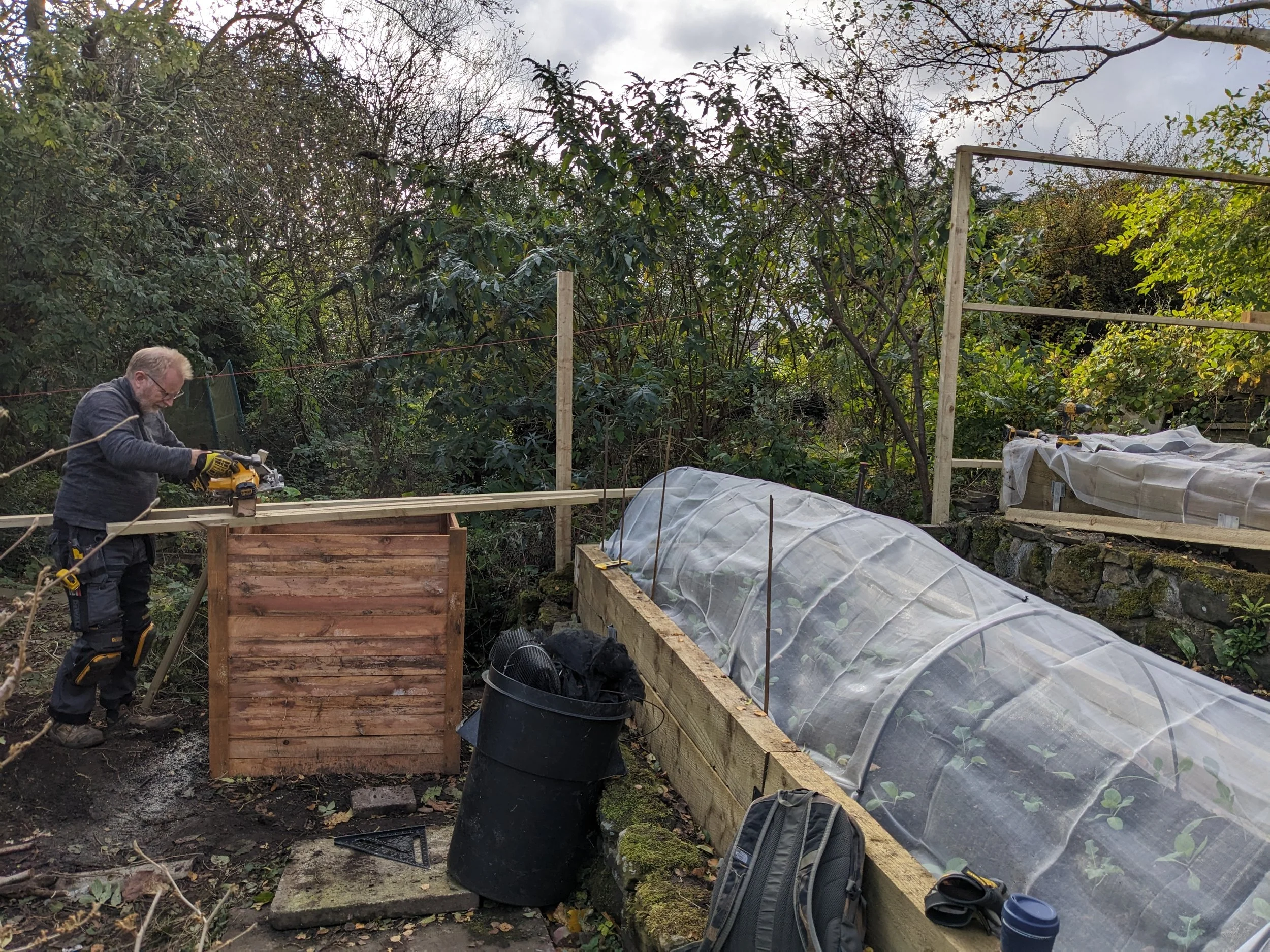 A man working on a wooden garden bed and a row of green plants covered with protective plastic in a backyard garden surrounded by trees and foliage.