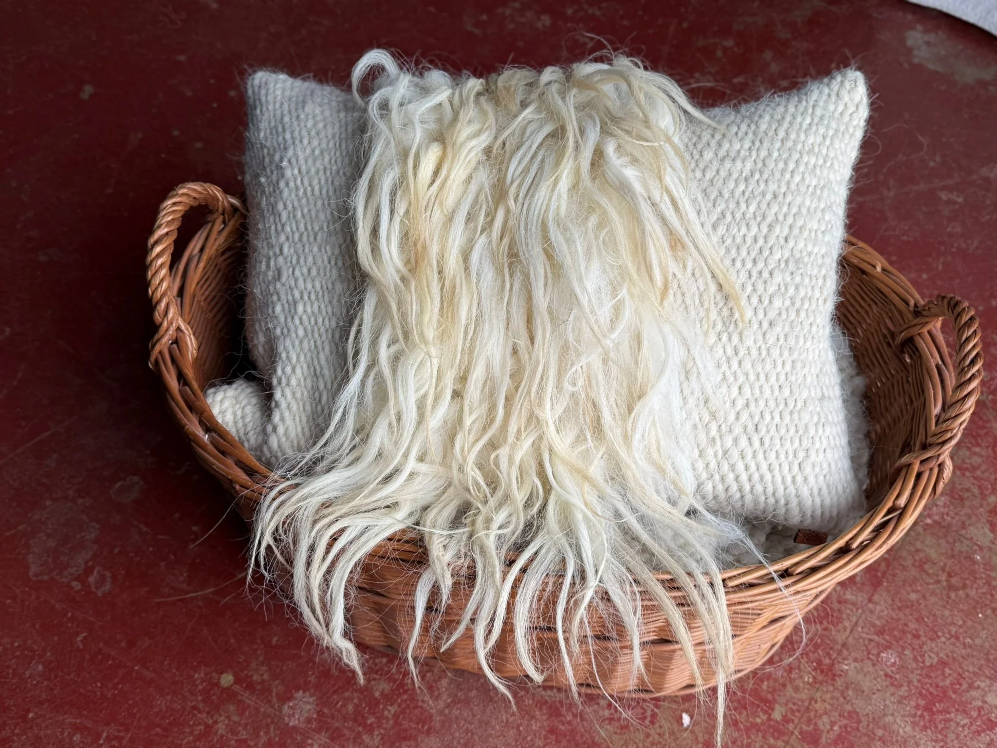 WhatsApp Image 2026-03-05 at 17.18.17.jpeg