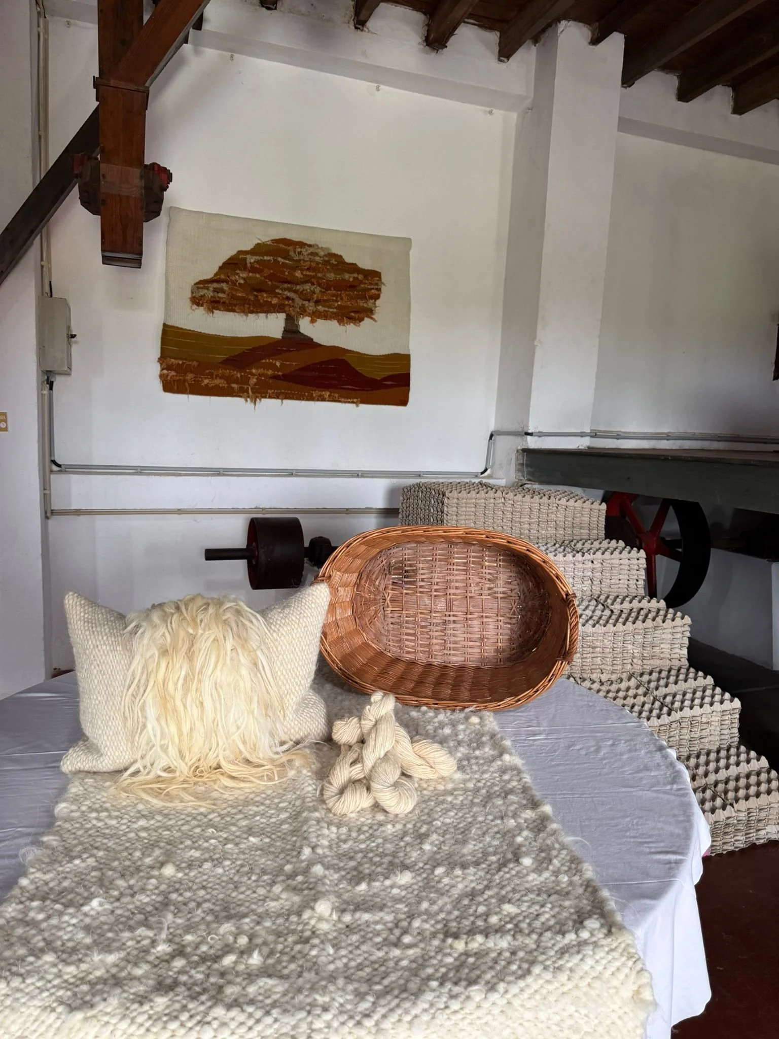 WhatsApp Image 2026-03-05 at 17.18.20 (2).jpeg