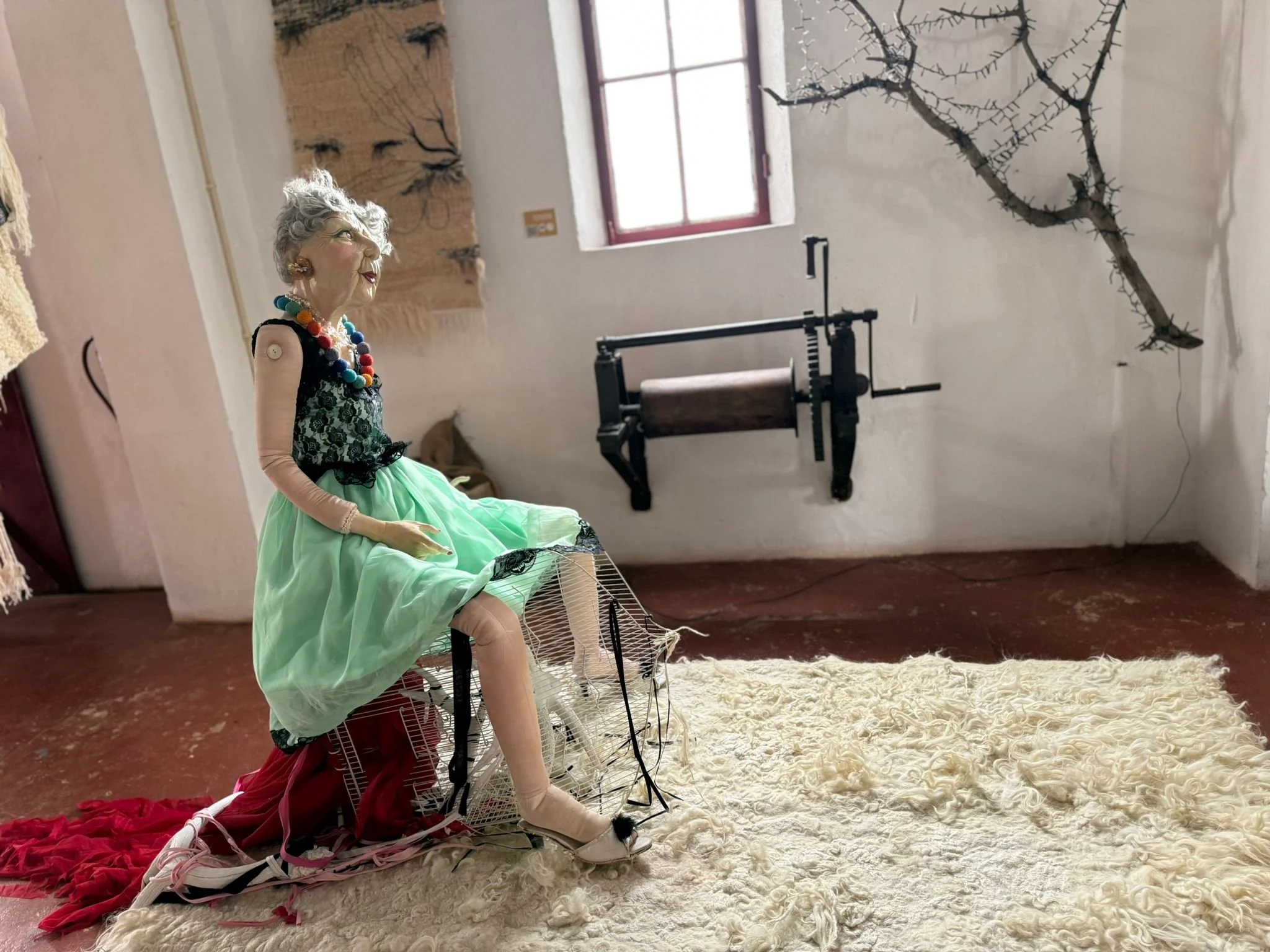 WhatsApp Image 2026-03-05 at 17.18.16.jpeg