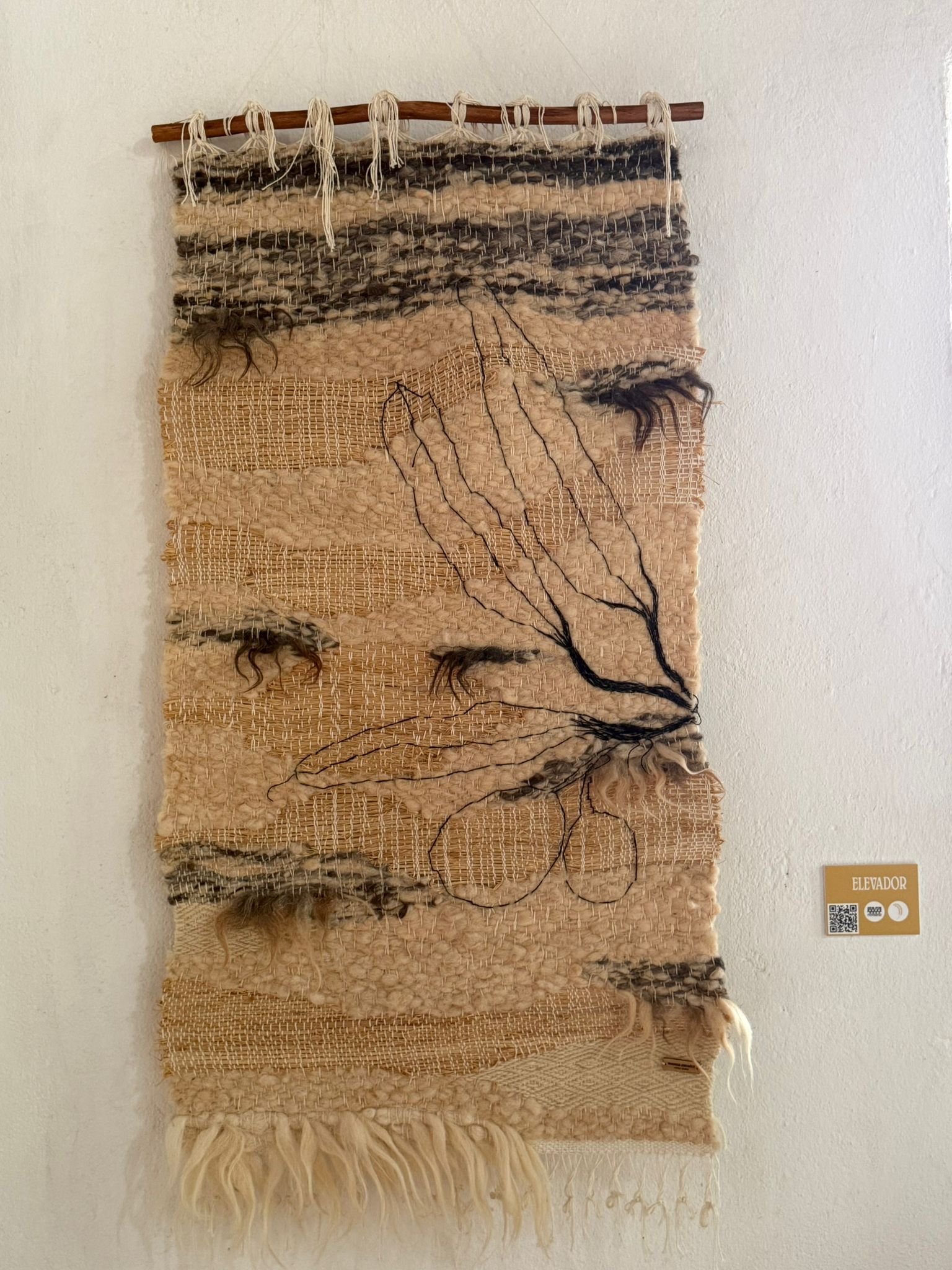 WhatsApp Image 2026-03-05 at 17.18.21 (1).jpeg