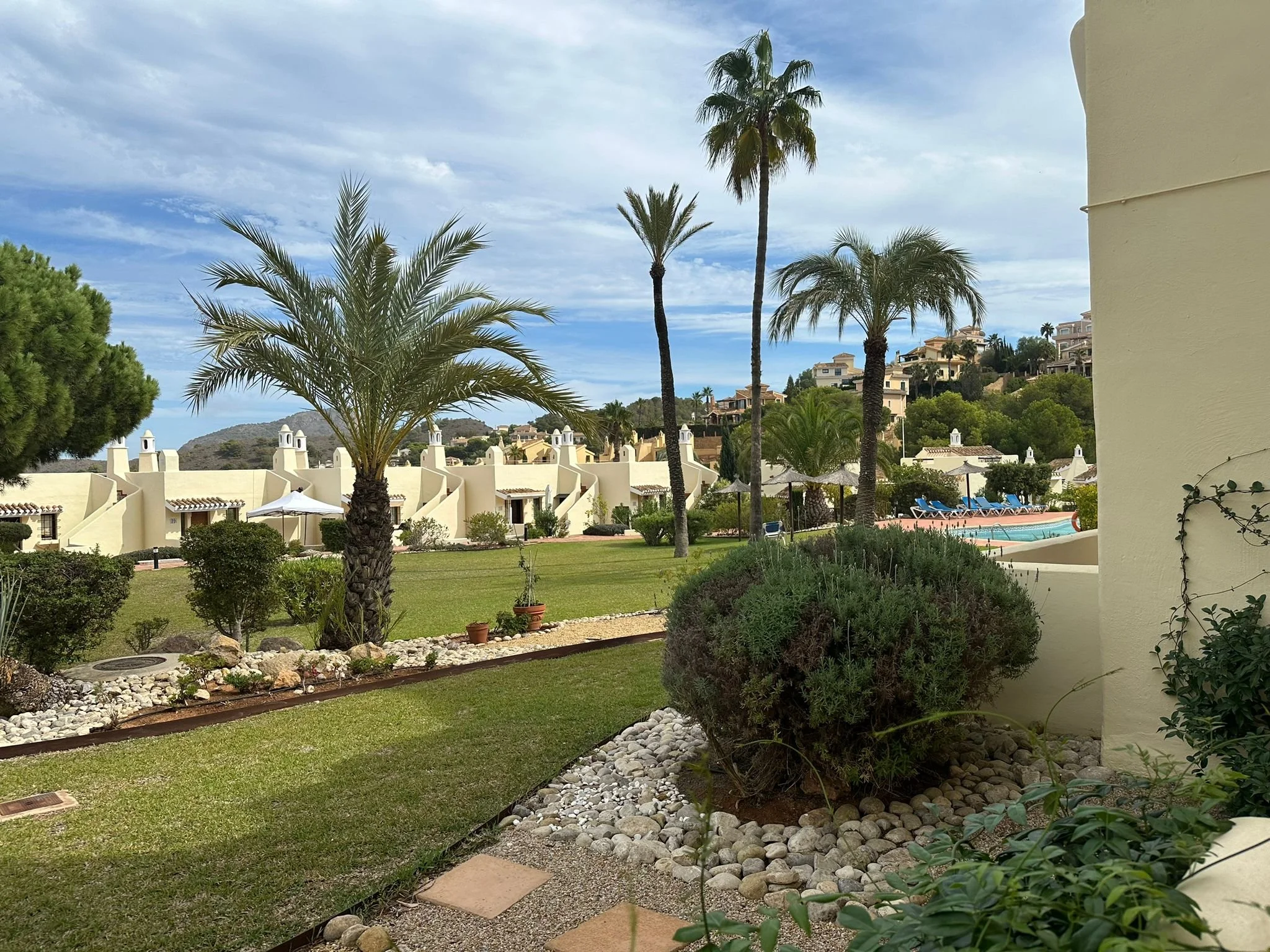 A landscaped backyard with palm trees, a grassy area, a white wall with chimneys, and houses on a hillside in the background.