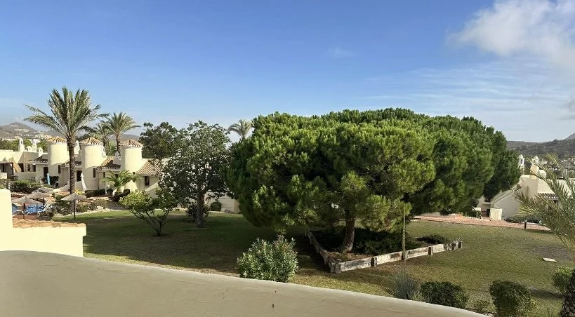 A well-maintained garden area with palm trees, a large green tree, and surrounding residential buildings under a partly cloudy sky.