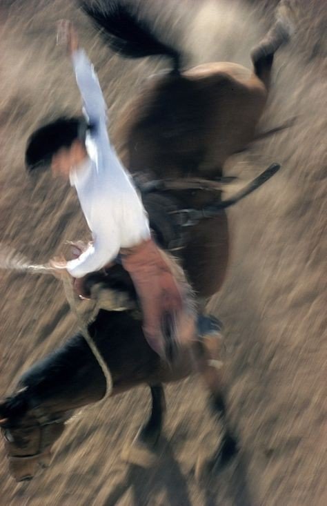 A Rodeo Rider