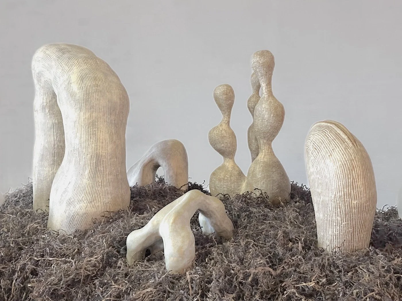 0431E670-210A-4C9E-83FC-30C46DA0E2C6.jpeg