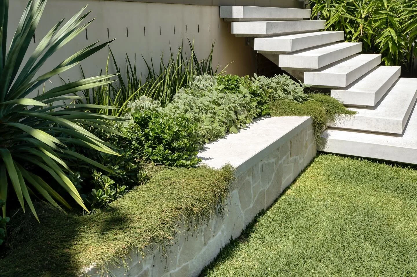 Flawless concrete steps that bring you down to your dream backyard.  We love the contrast of the hard stone with the lush soft greenery.