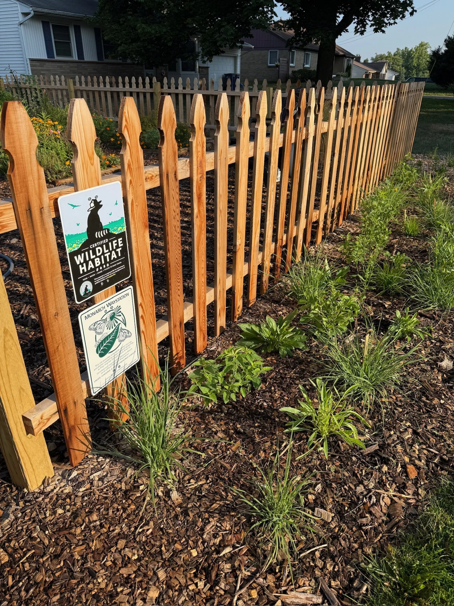 Native Niche Plant Sale