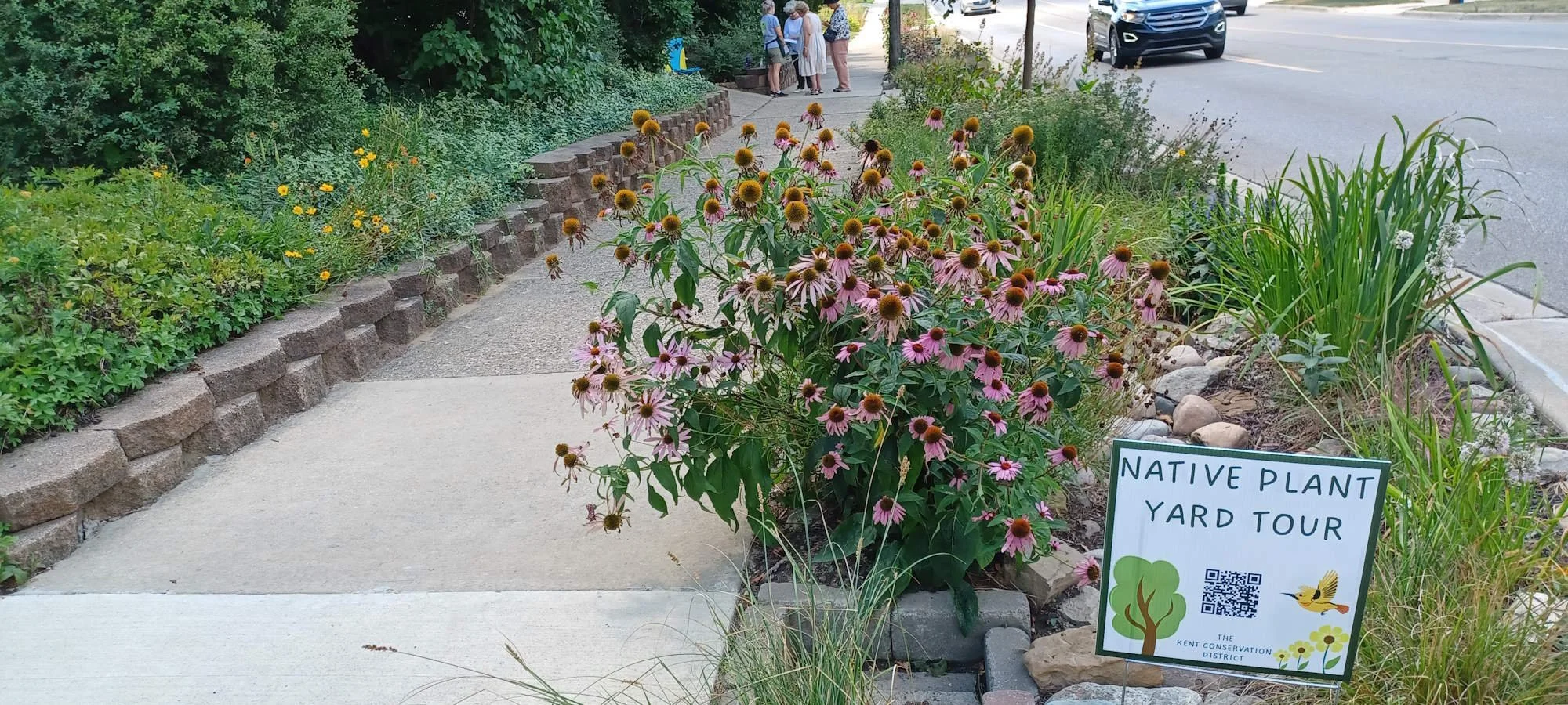 West Michigan Native Plant Yard Tour