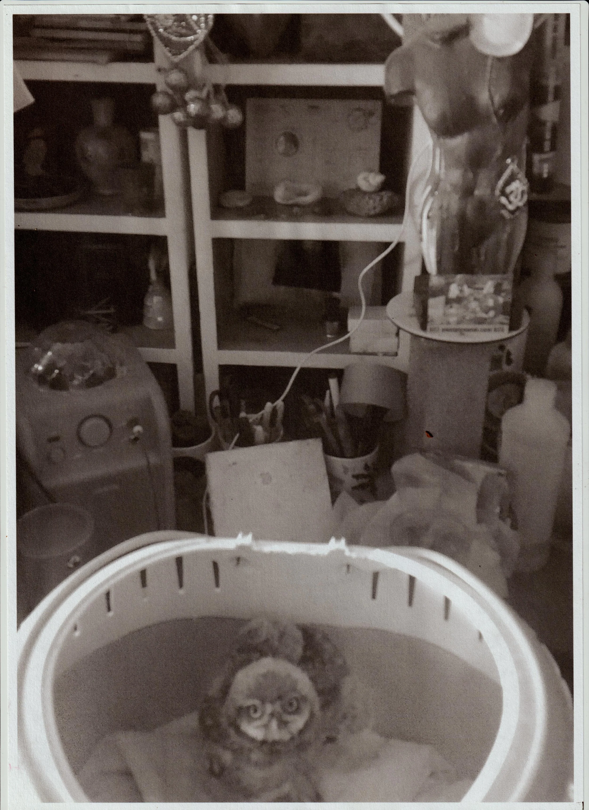 2854s.jpg
