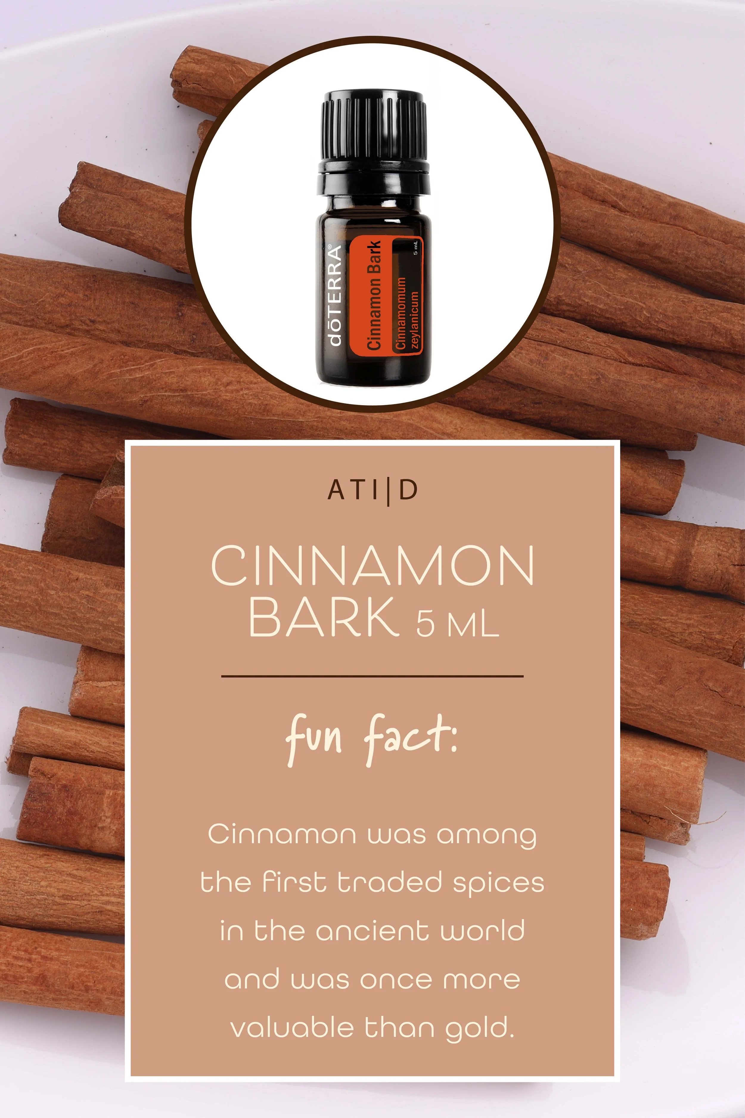 Cinnamon Bark-Essential Oils-80246-Social Media-US-English-Pinterest-Fun Facts-1000x1500-v1.jpg