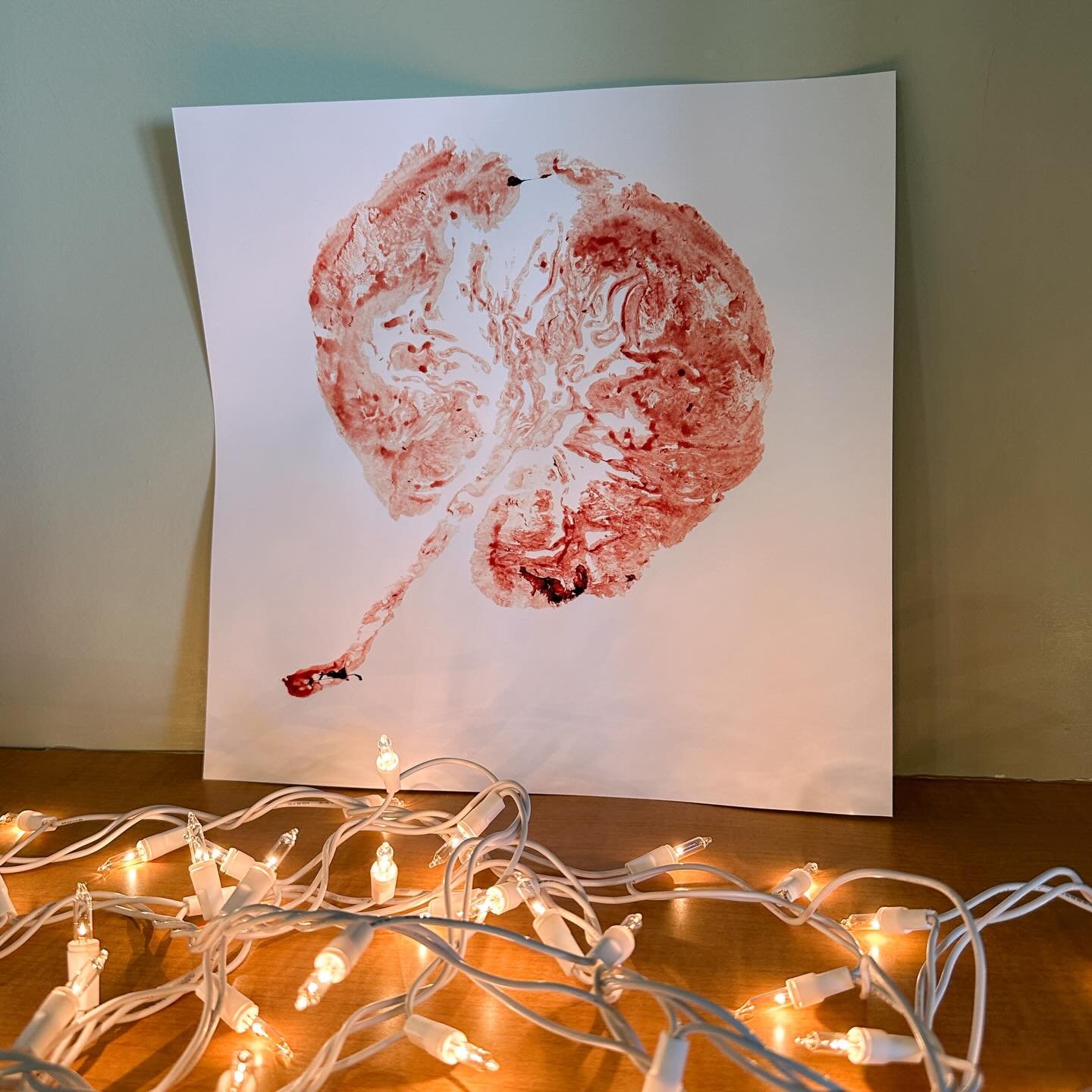 I started offering complimentary placenta prints about a year ago and I&rsquo;m always amazed by this beautiful organ! Each one is as unique as the baby it sustained. Sometimes it takes me a few tries to get the details juuuuuuust right but this one 