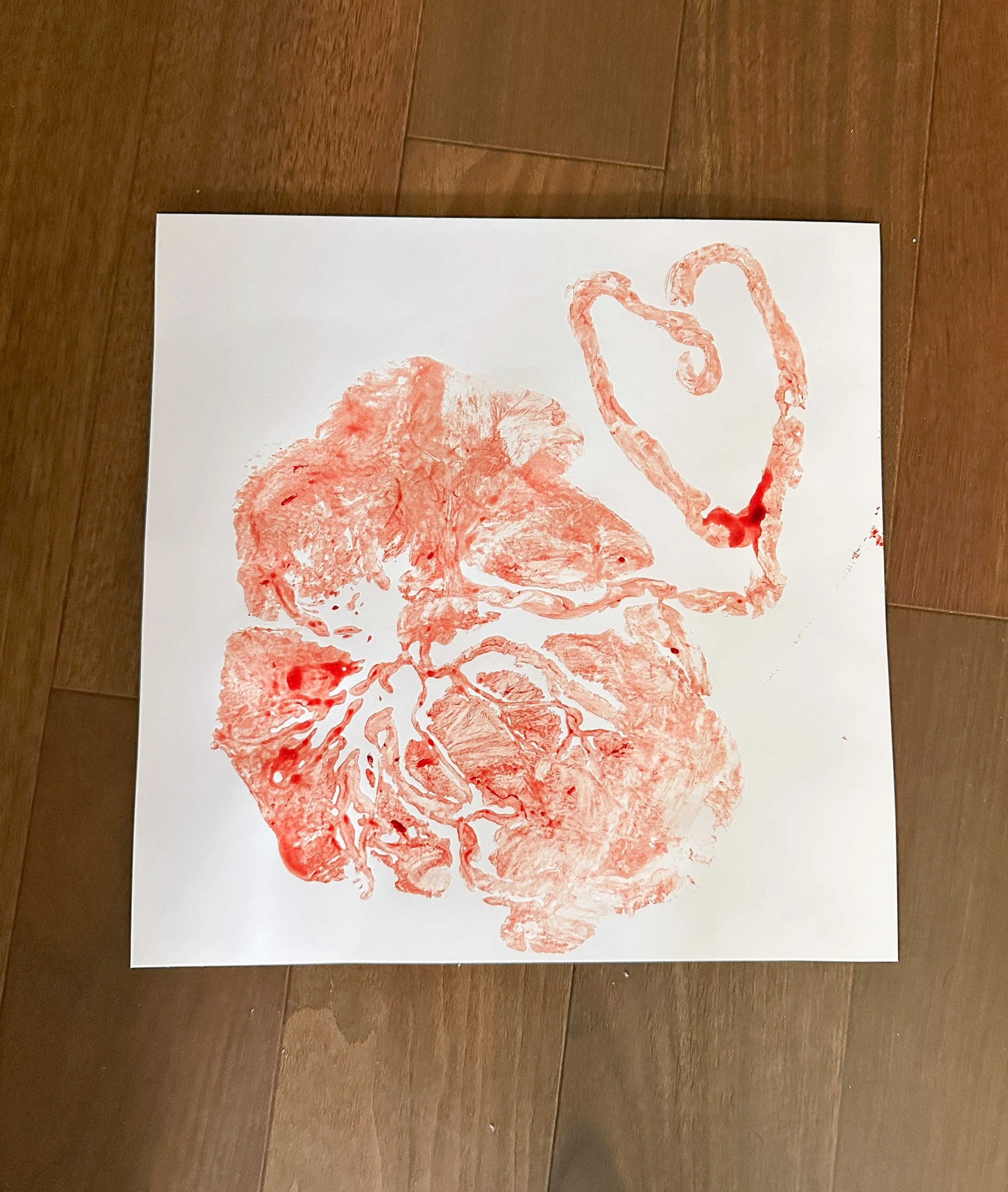 A print of a placenta on a white sheet of paper, placed on a dark wooden floor.