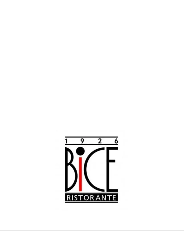 bic.jpg