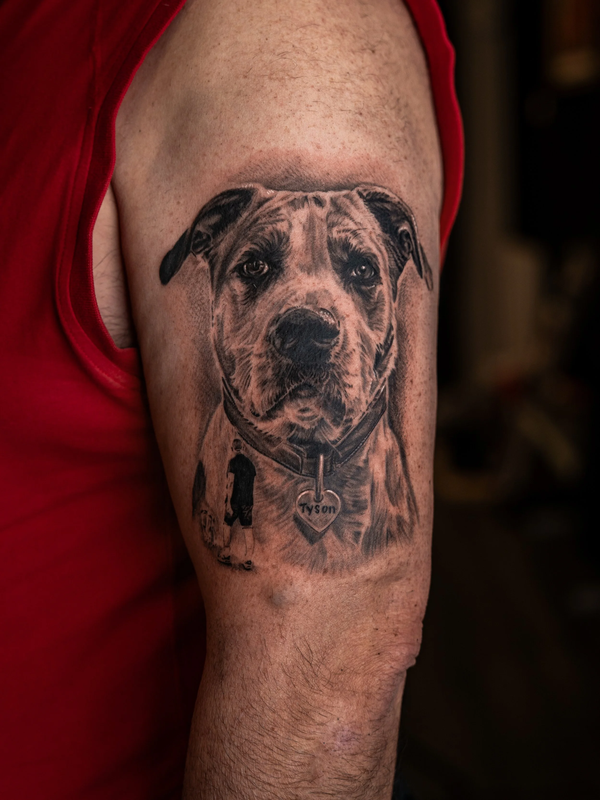 Tatuering av en hunds ansikte på en persons överarm, med namnet Tyson på ett halsband.