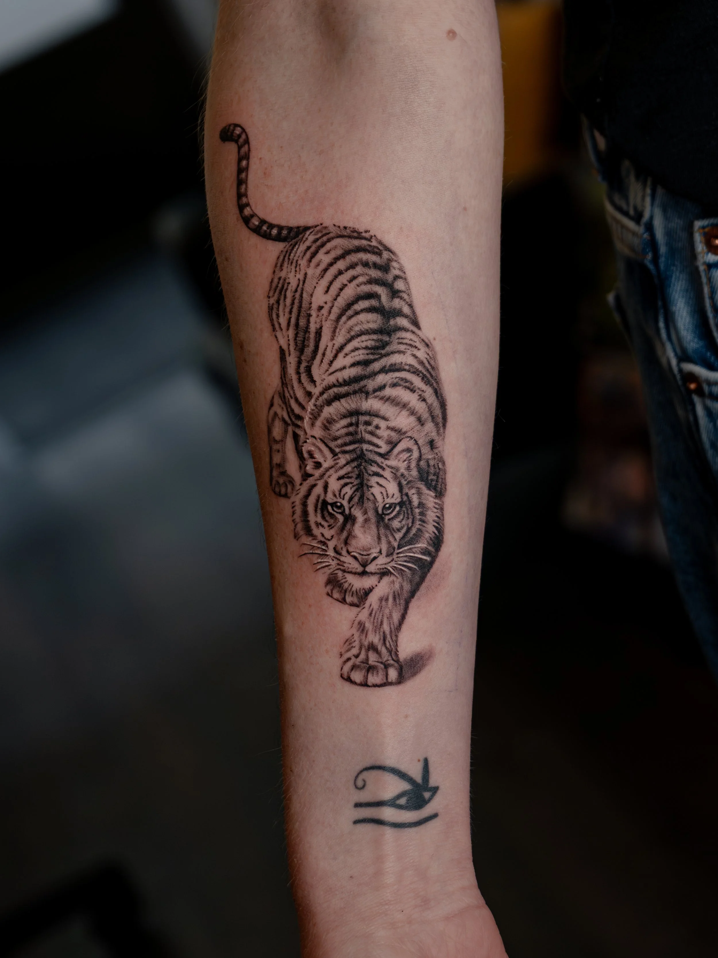 20260414-tiger-underarm-realism-black-and-grey-tatuering-göteborg-tattoo-ink.jpg