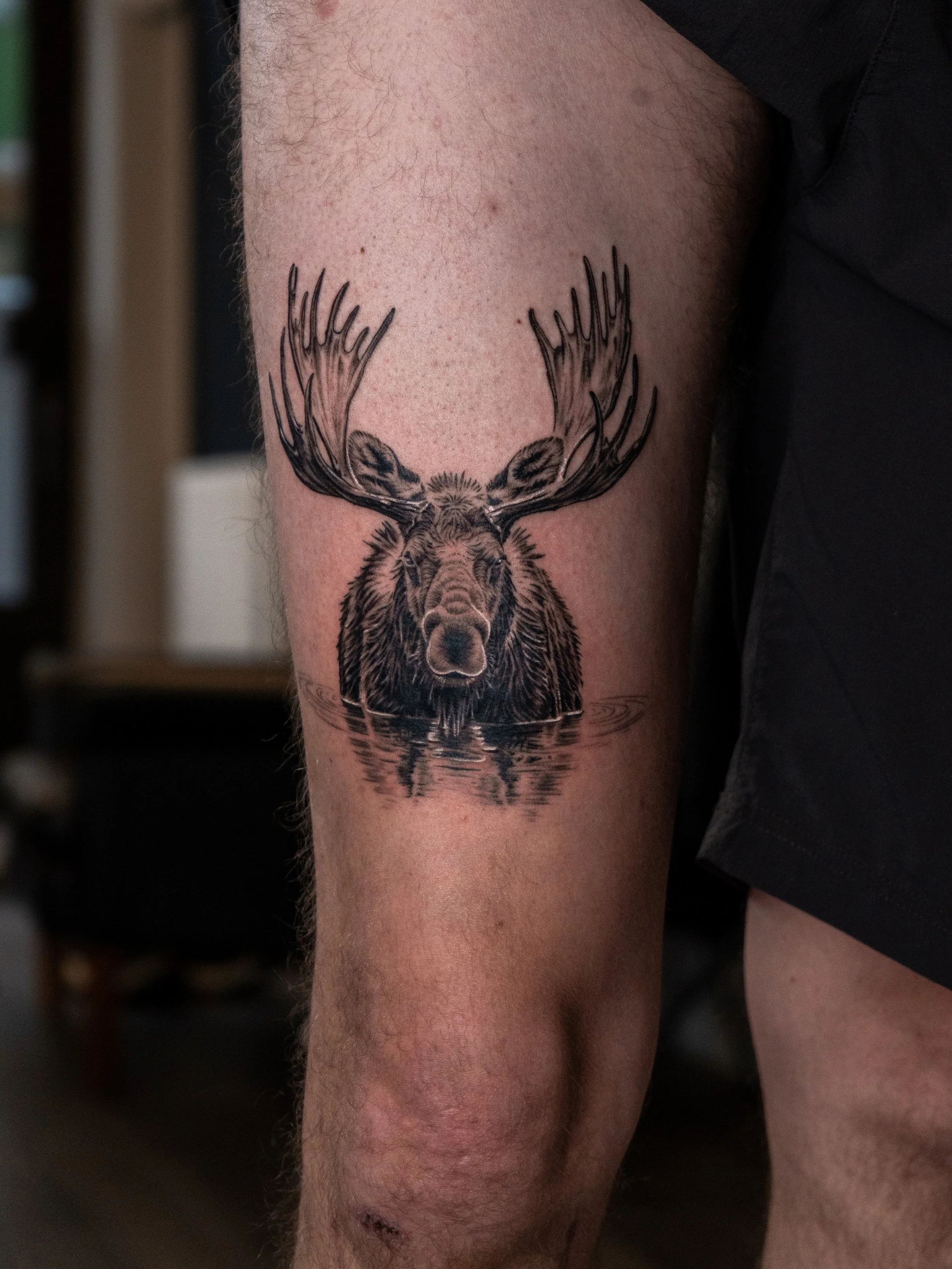 Tatuering av en älg med stora horn, som simmar i vatten.