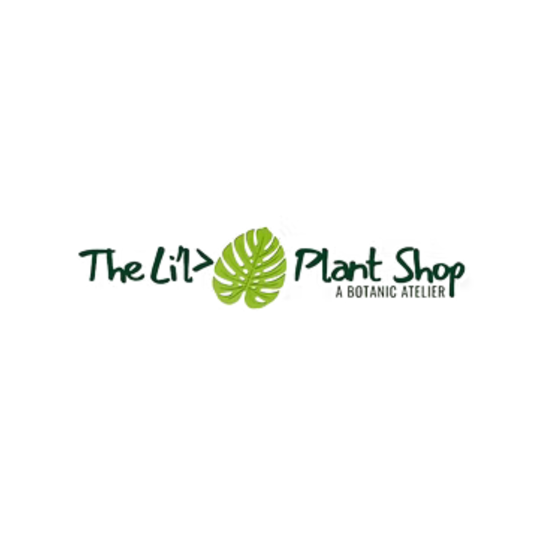 Logo for The Lil' Plant Shop with a green monstera leaf and the text 'The Lil' Plant Shop, A Botanic Atelier'.
