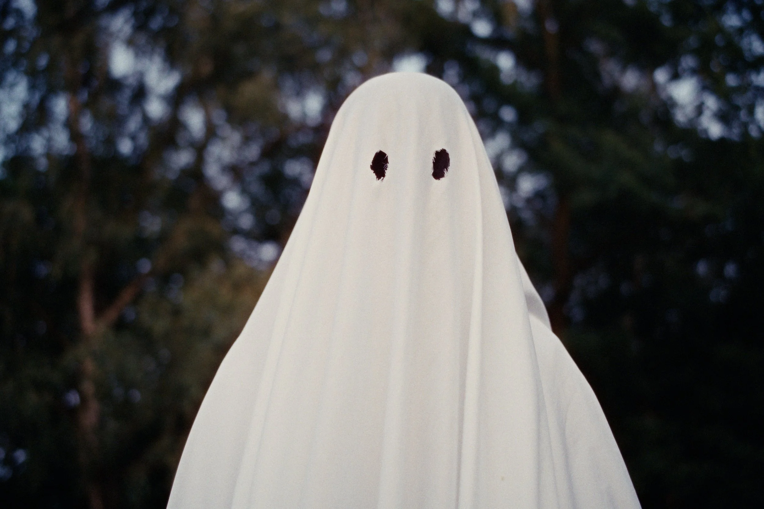 Duch
film niezależny

[[LIGHTBOX]]
[[Ghost:]] Renata Pelczarska
[[Idea:]] Mikołaj Jordan, Renata Pelczarska
[[Director/DOP:]] Mikołaj Jordan
[[Editor, colorist:]] Mikołaj Jordan

#niezalezny
[[PREVIEW: https://vimeo.com/1212011437]]