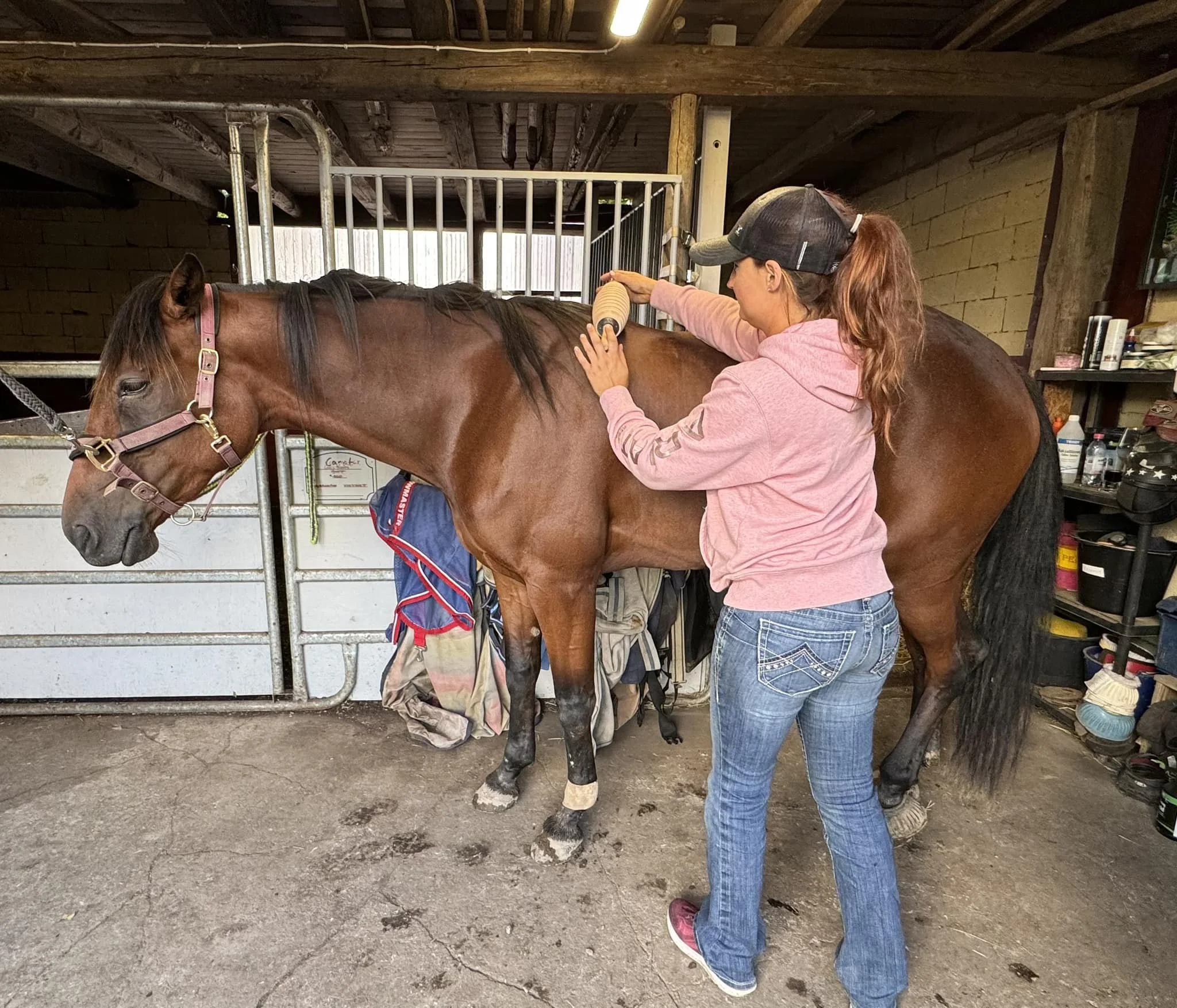 Person som borstar en brun häst i ett stall.