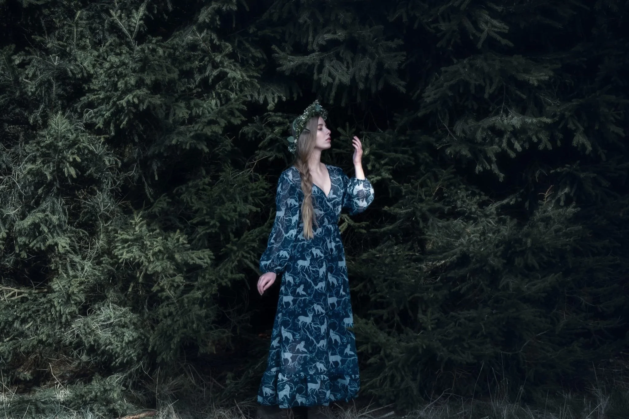 02_Forest.jpg