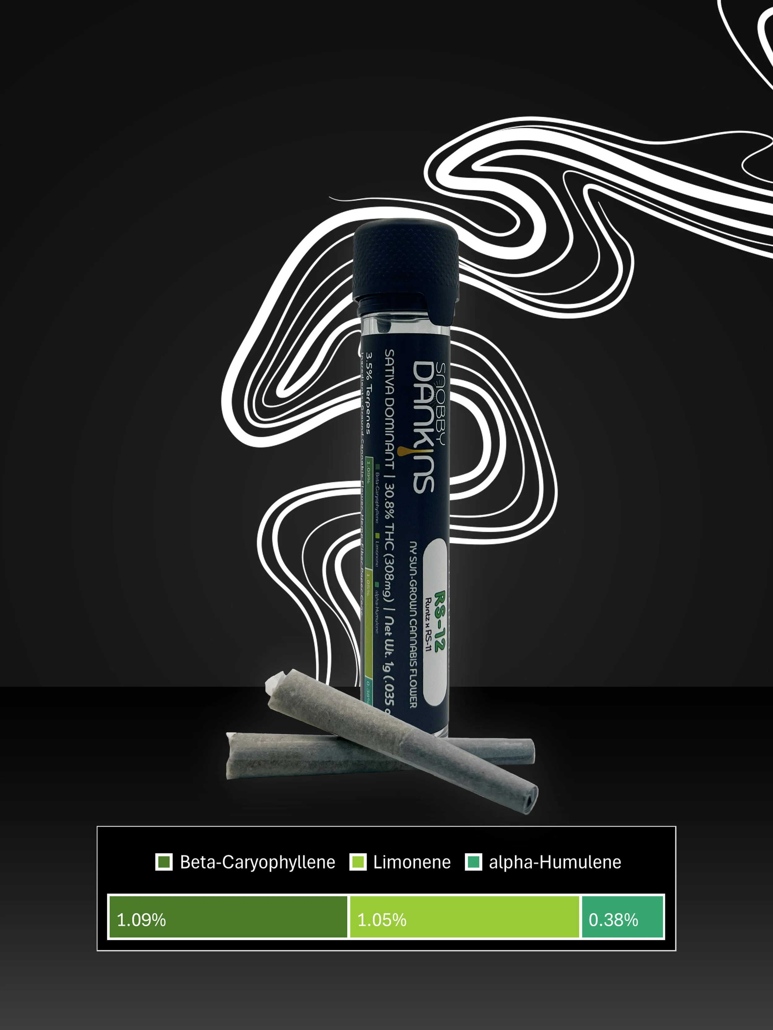 RS-12, 2x0.5g