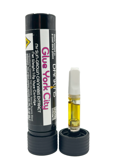 Glue York City 1.g