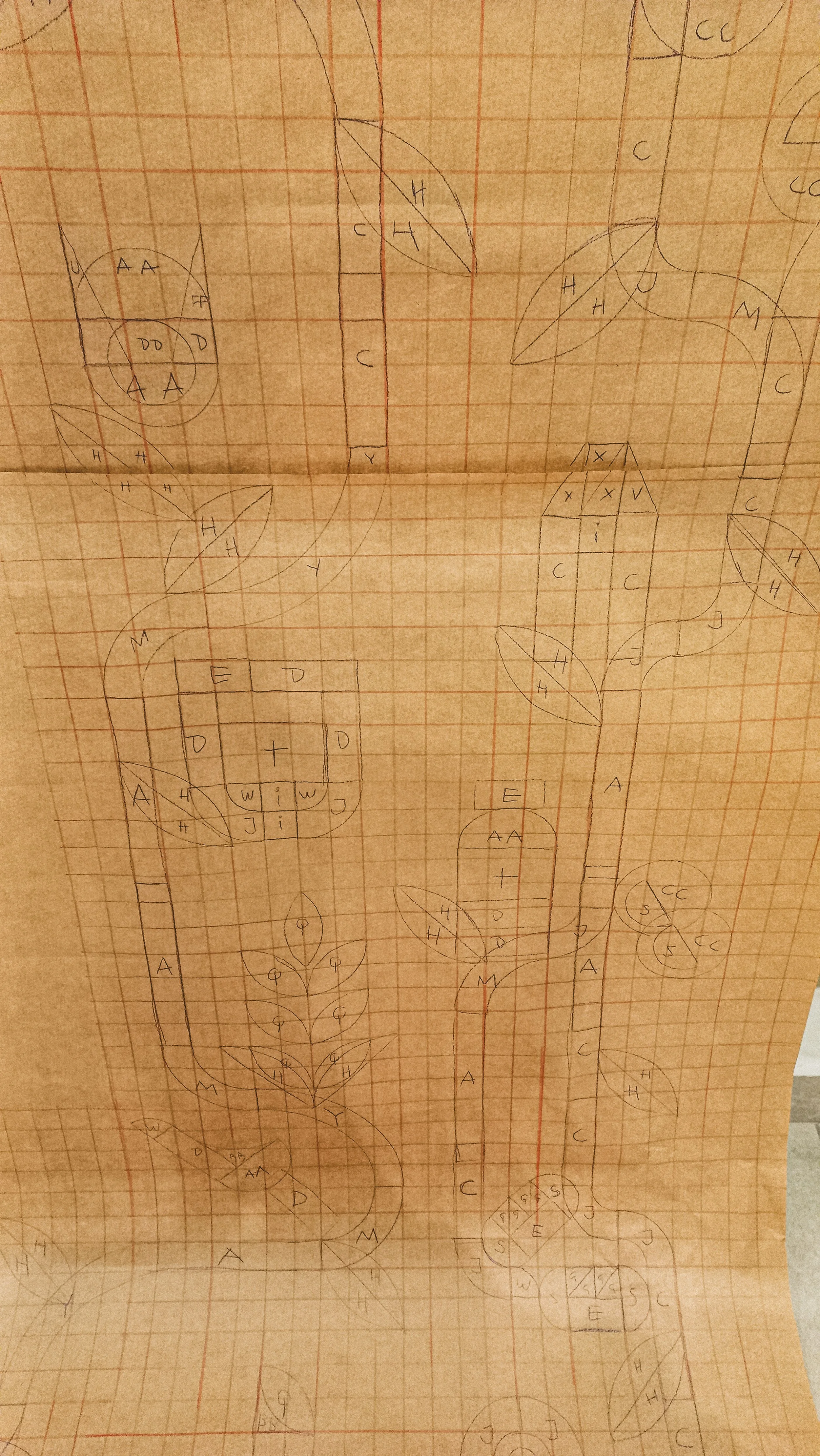 SCOOP_PROCESO LOCAL-02.jpg