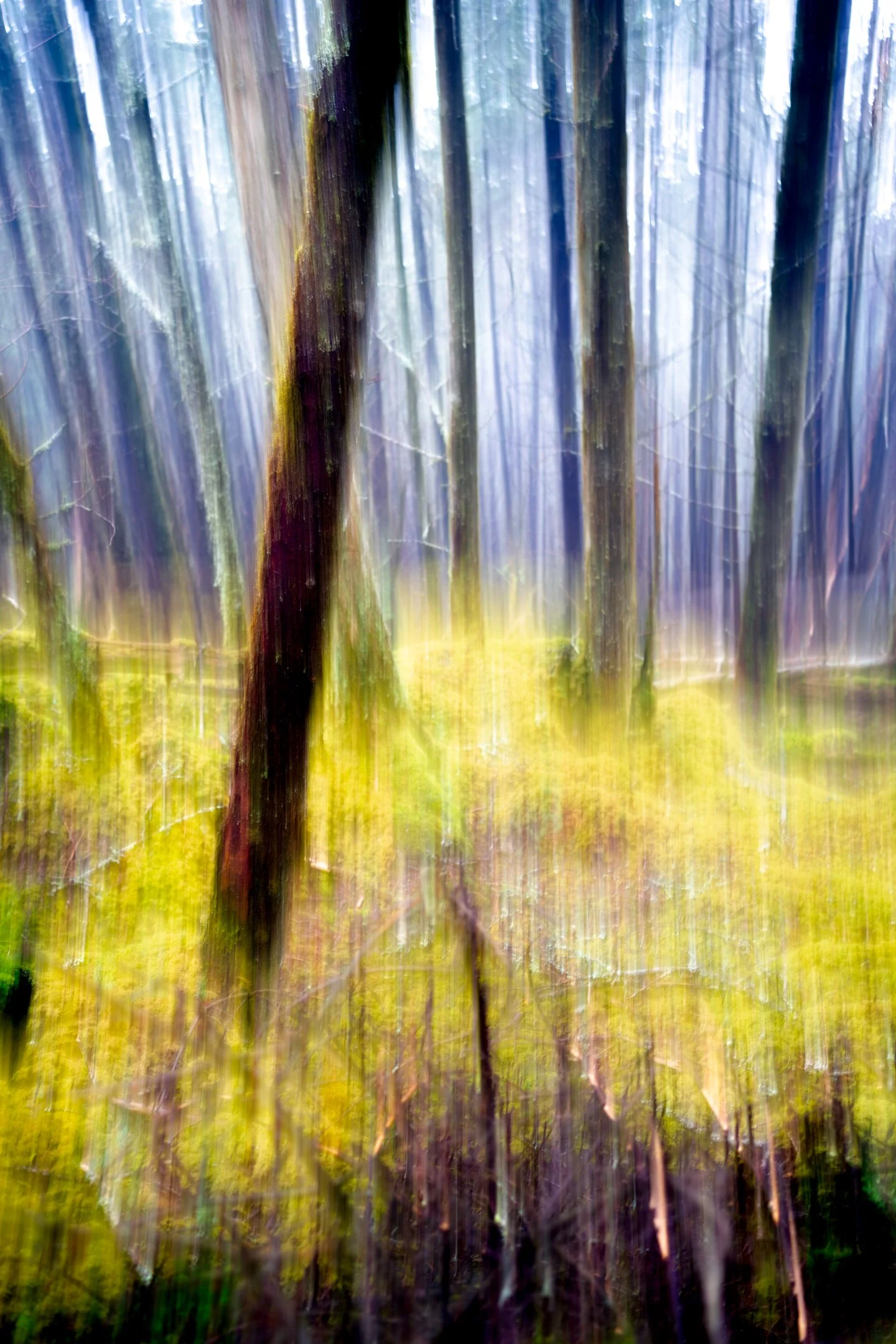 'Intro to Bliss' by Patrick Tilghman