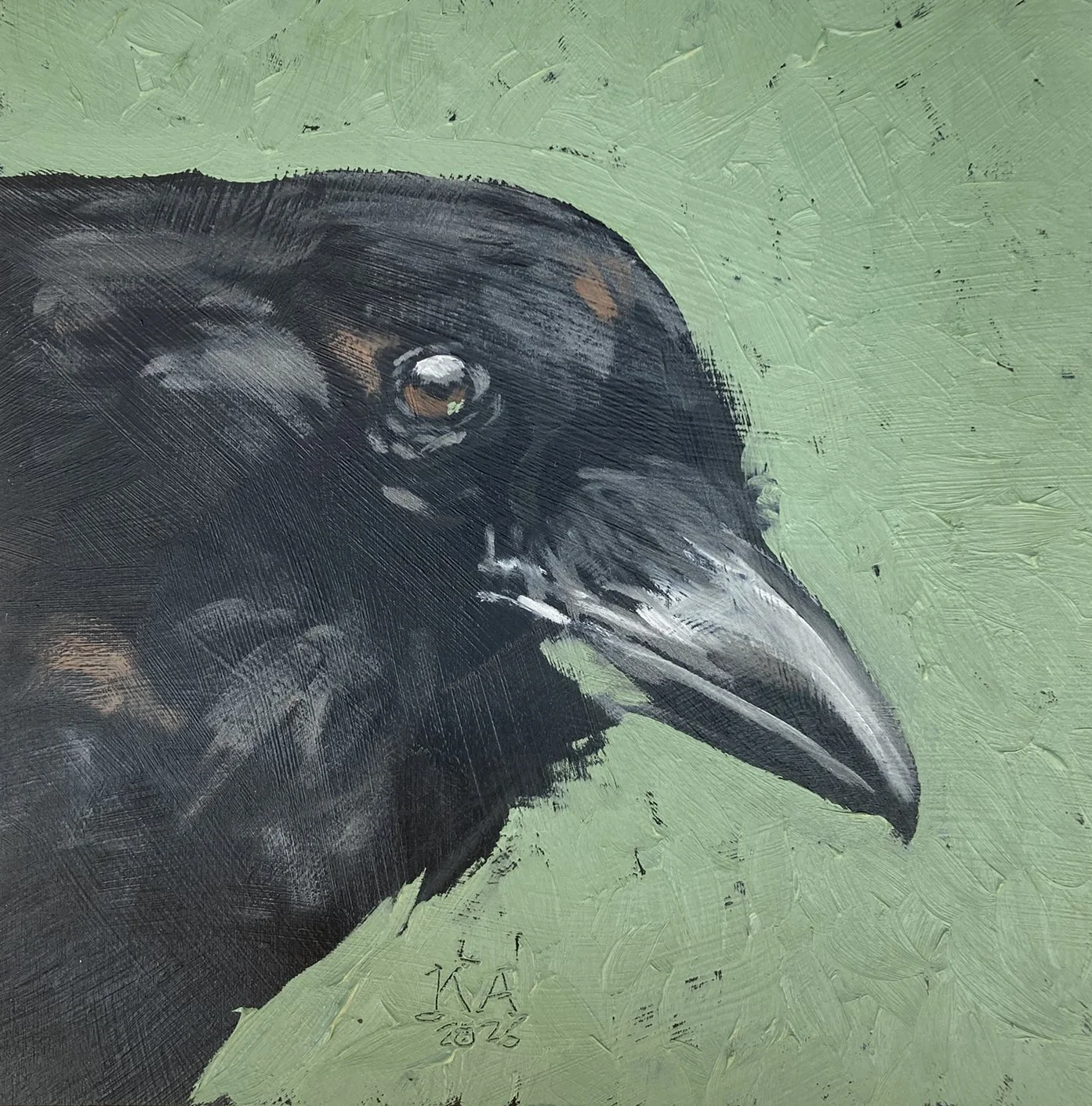 Corvus+II.JPEG