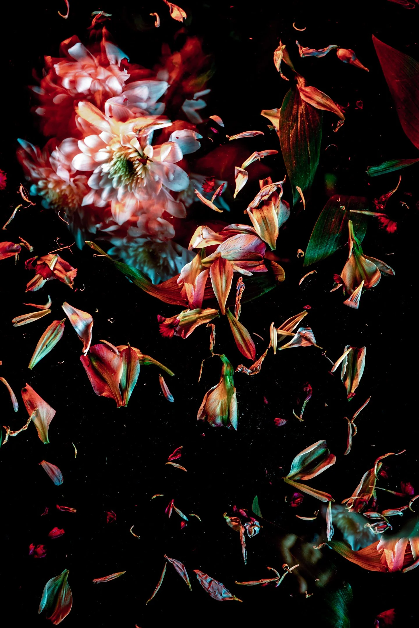 'Wildflowers II' by Patrick Tilghman