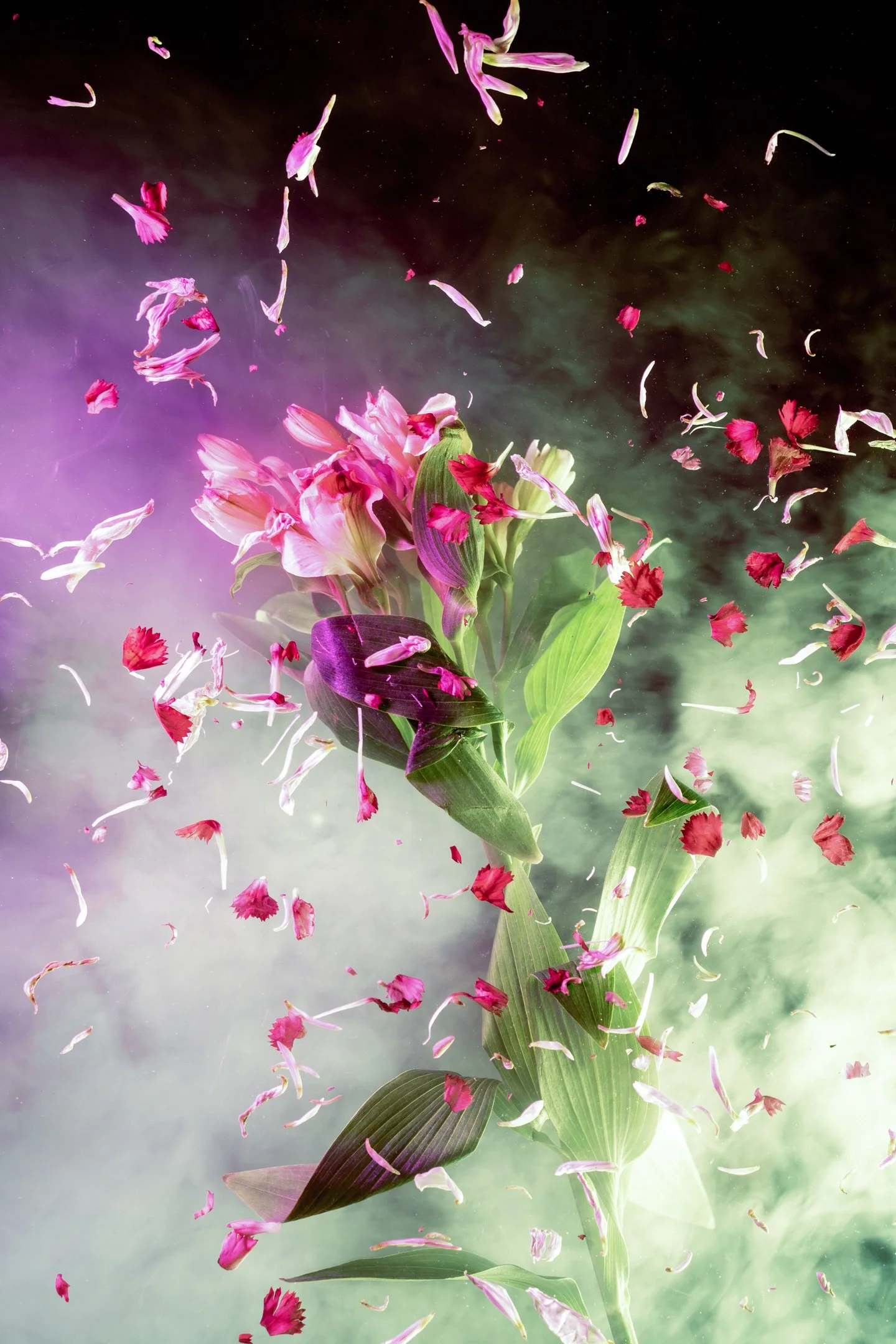 'Wildflowers I' by Patrick Tilghman
