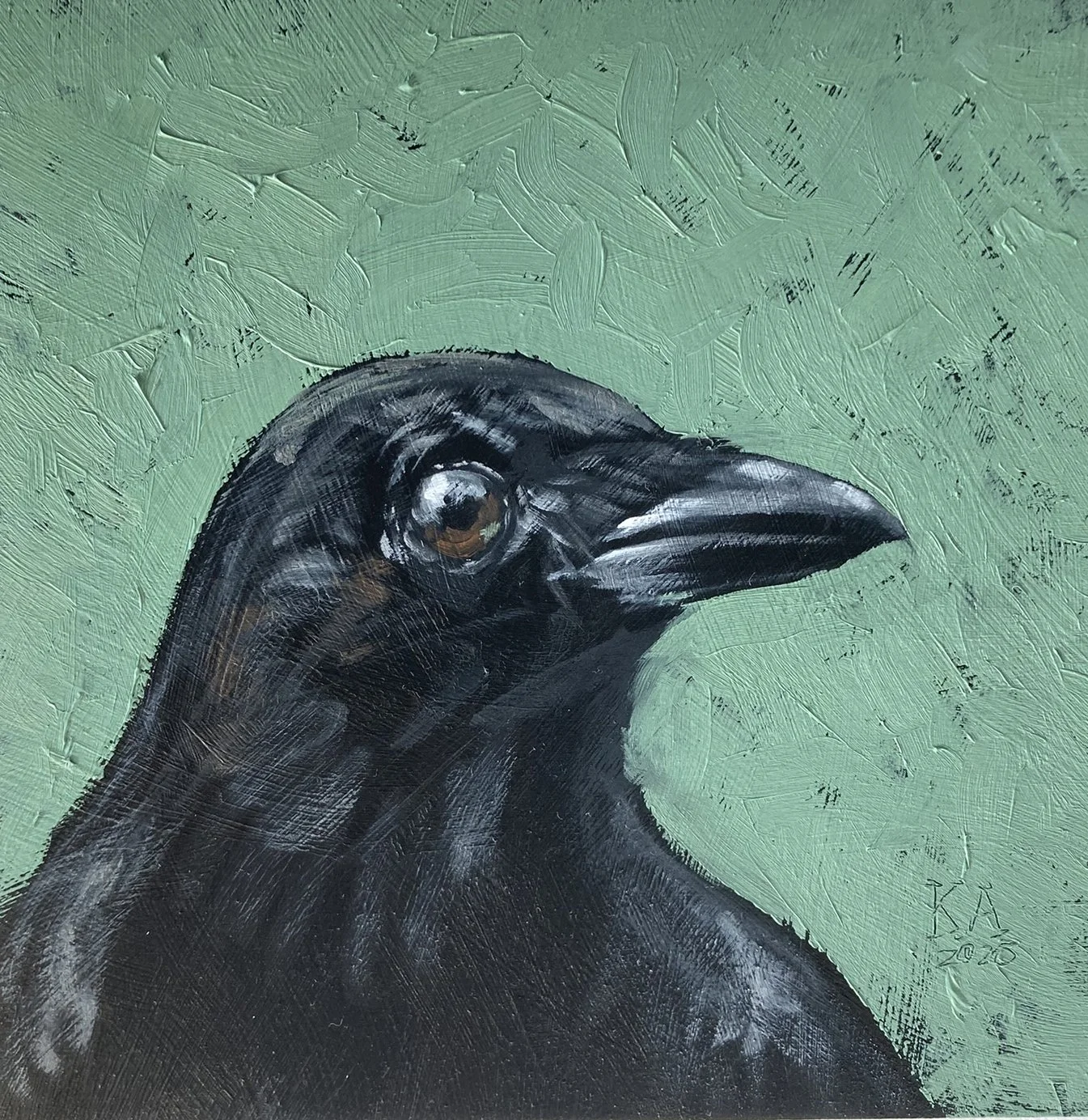 Corvus+I.JPEG