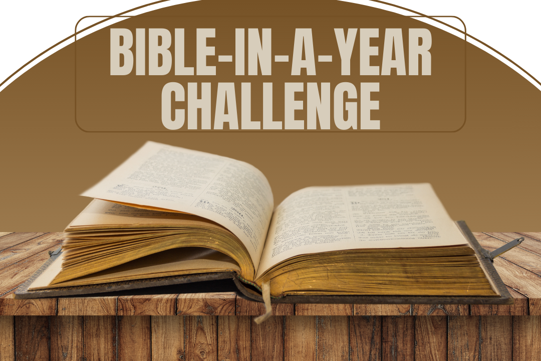 Bible-in-a-Year Challenge