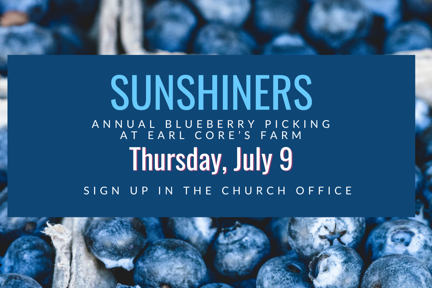 Sunshiners Blueberry Picking Trip