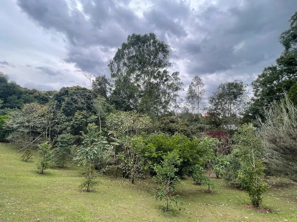 WhatsApp Image 2023-05-12 at 12.07.36 PM (11).jpeg