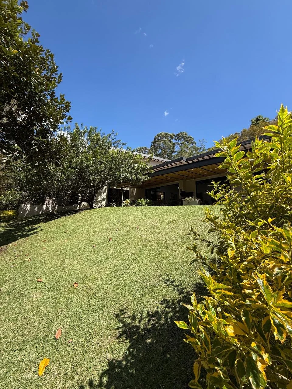 WhatsApp Image 2025-09-10 at 4.43.39 PM (13).jpeg