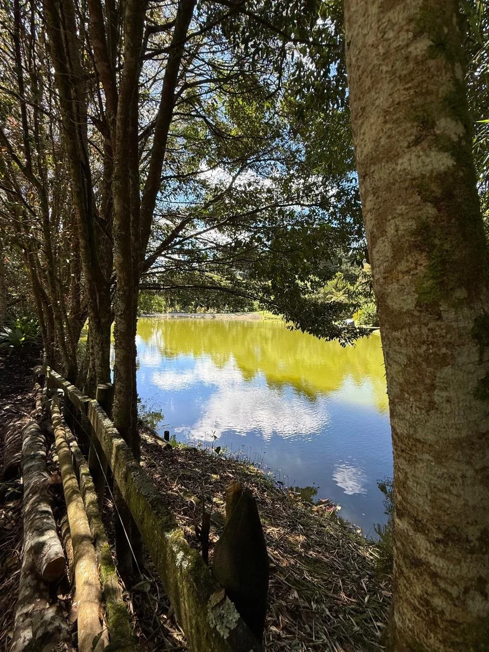 WhatsApp Image 2025-09-10 at 4.43.40 PM (32).jpeg