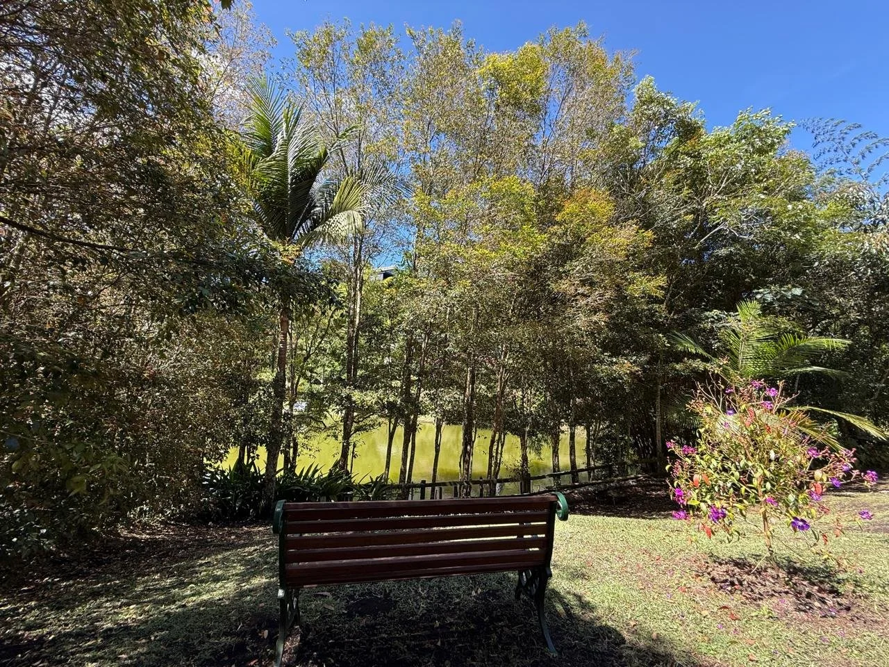 WhatsApp Image 2025-09-10 at 4.43.41 PM (2).jpeg