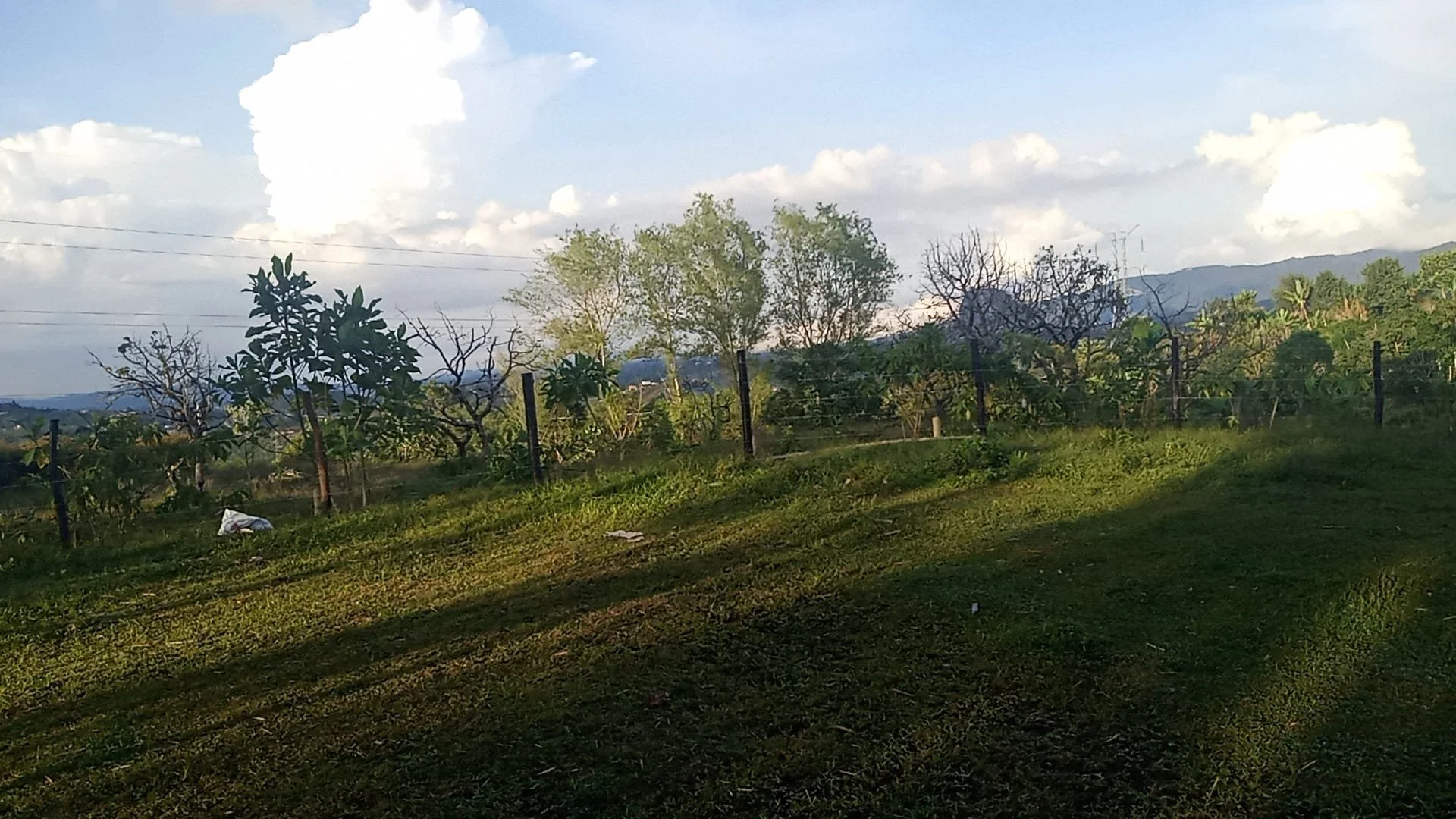 WhatsApp Image 2025-11-22 at 1.09.42 PM.jpeg