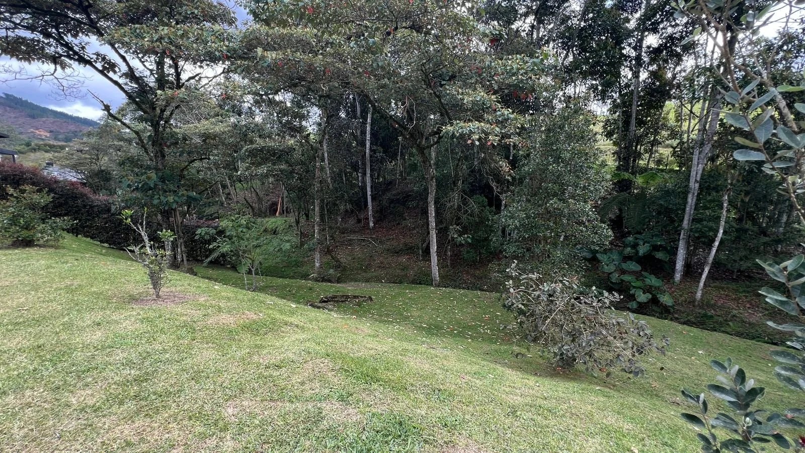 WhatsApp Image 2026-01-20 at 2.07.01 PM.jpeg