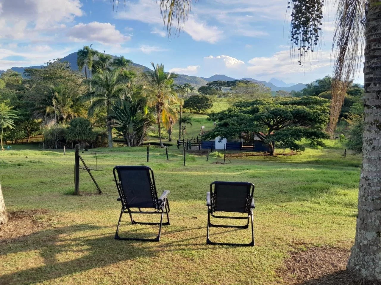 WhatsApp Image 2026-01-26 at 10.57.26 AM (2).jpeg