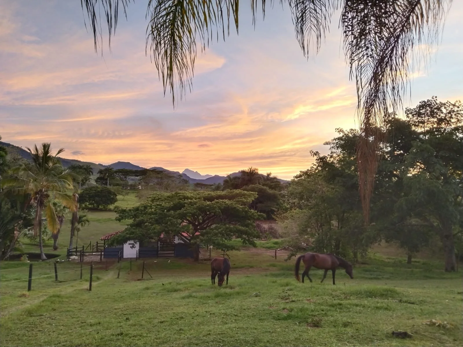 WhatsApp Image 2026-01-26 at 12.31.01 PM.jpeg